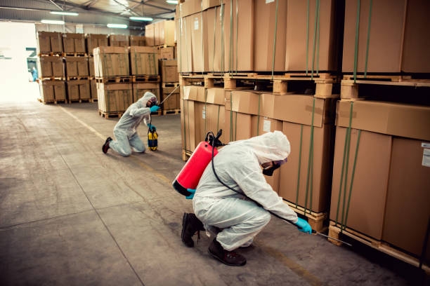 Best Affordable Pest Control Services  in Mayflower Village, CA