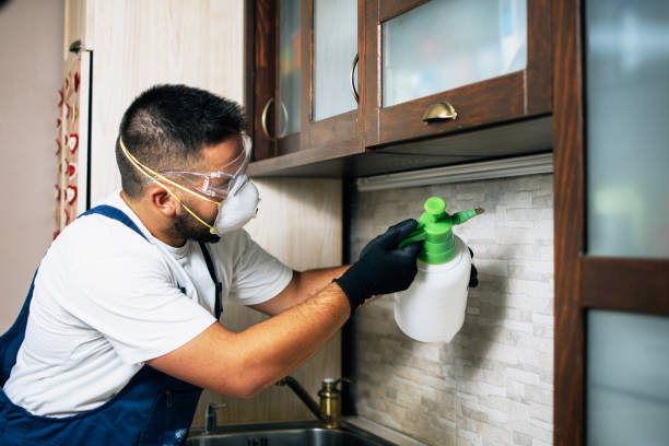 Best Termite Control Services  in Mayflower Village, CA