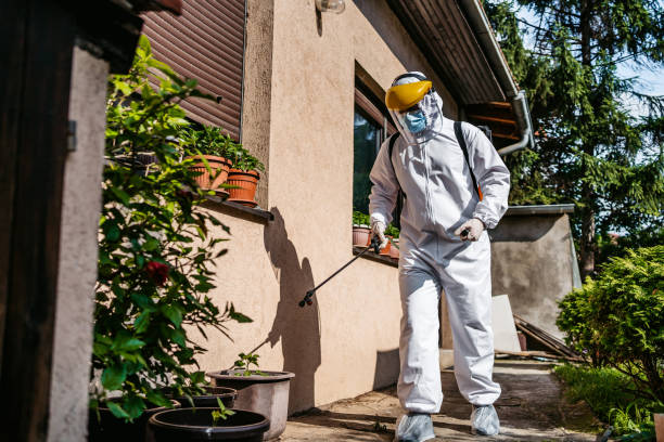 Best Residential Pest Control  in Mayflower Village, CA