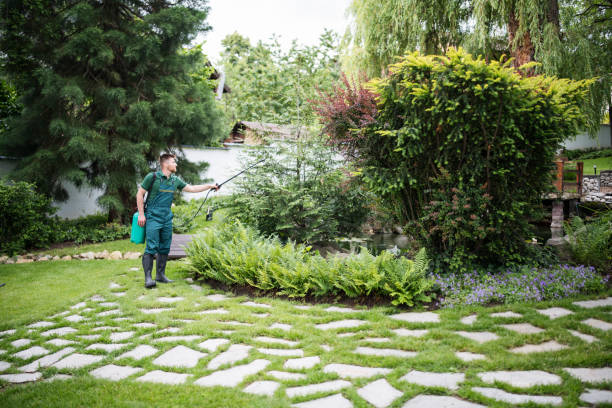 Bird Control in Mayflower Village, CA