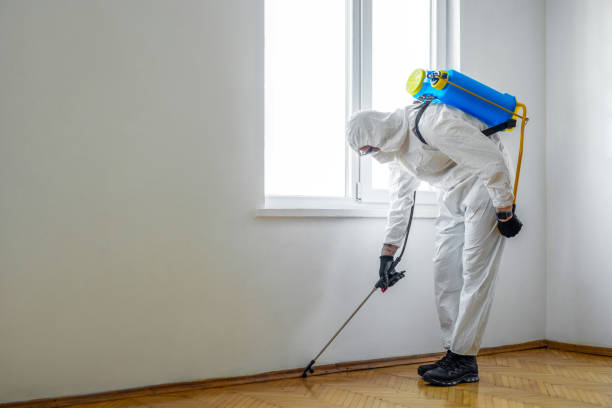 Best Local Pest Control Services  in Mayflower Village, CA