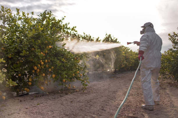 Best Best Pest Control Companies  in Mayflower Village, CA
