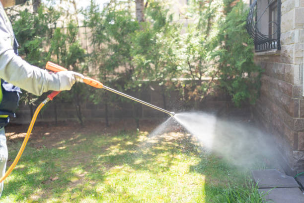 Best Flea Control Services  in Mayflower Village, CA