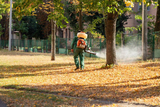 Best Pest Removal Services  in Mayflower Village, CA